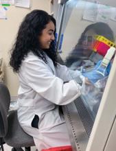 portrait of Baraa Nawash