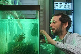 Hillel Chiel, PhD