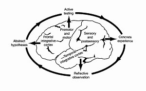 From Brain To Mind James Zull Pdf