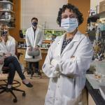 Anna with Brian and Dr. Atit in Lab during the pandemic