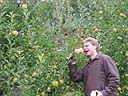 CB_eats_apple.jpg