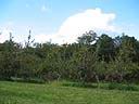 landscape.jpg
