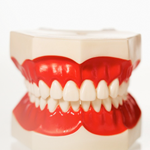 Oral Health Oral Health