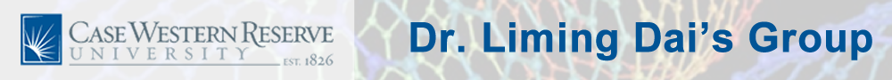 Liming Dai Website