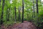 University Farm Trail