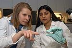 Students in Lab