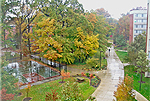 Aerial View Of Campus