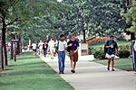 Students Walking On Campus