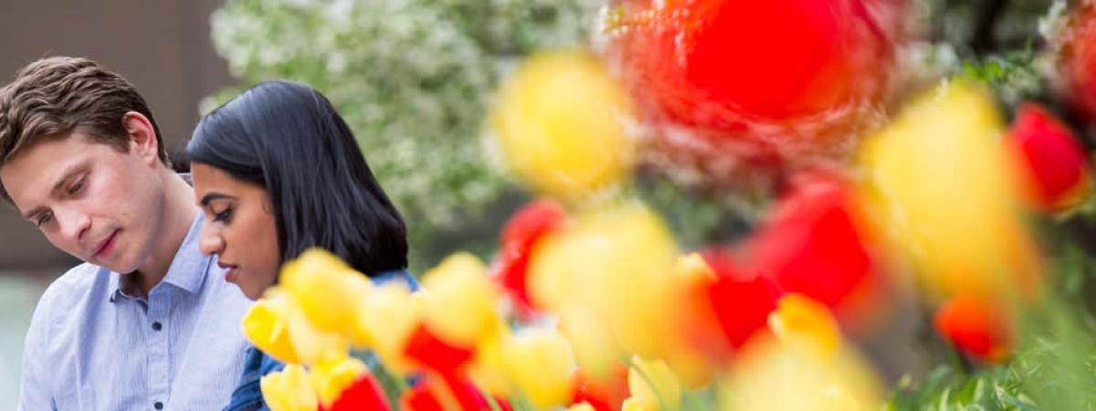 Two law students studying together with red and yellow flowers in foreground