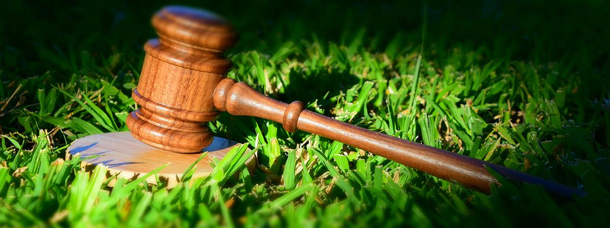 photo of gavel in grass