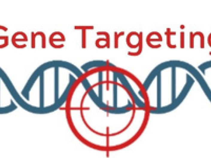 Gene Targeting Icon