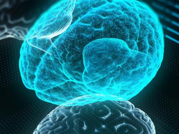 A rendering of a brain