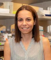 Philippidou_Pola_Philippidou Lab_crop