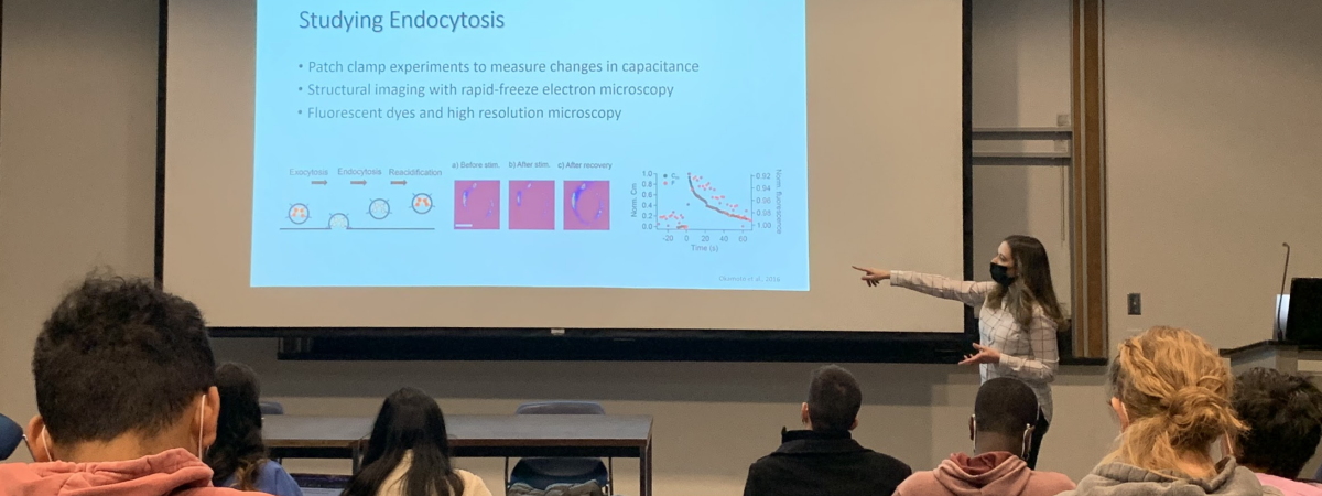image of students in a classroom learning about endocytosis