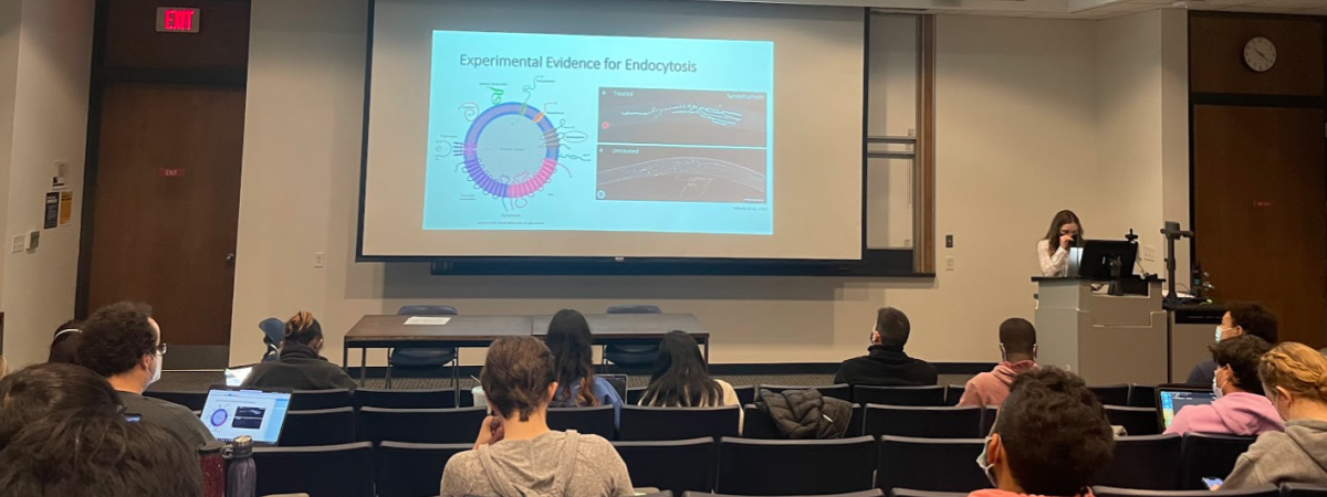 Image of a classroom in which students are being taught about endocytosis