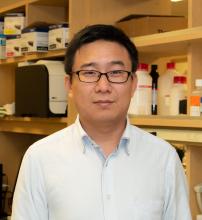 Cui_Wanpeng_Mei Lab_crop