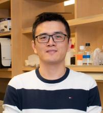 Wang_Hongsheng_Mei Lab_crop