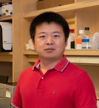 Xiong_Lei_Xiong Lab_crop