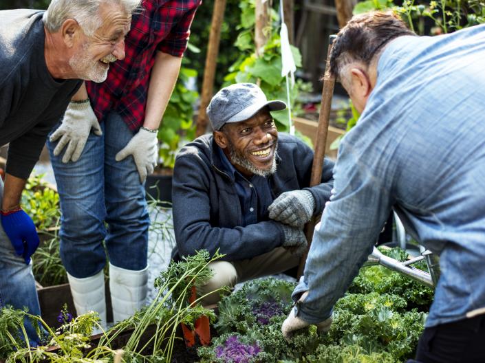 Four people smile together while tending a vegetable garden.