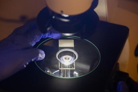 A picture of a researcher using a microscope slide