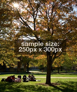 sample image