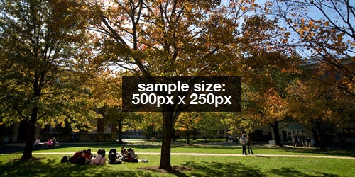 sample image