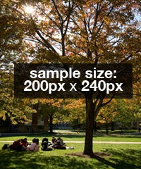 sample image