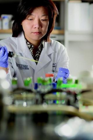 Photo of Hsiao running a test