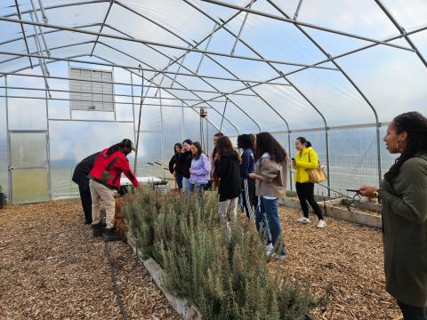 SJI Scholars at Rid-All Farm in a hoop house