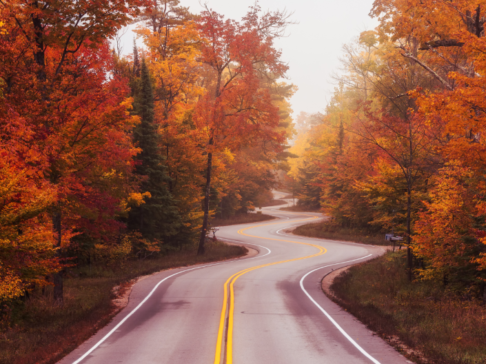 Winding road through autumn trees