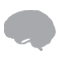 Brain