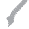 Spine
