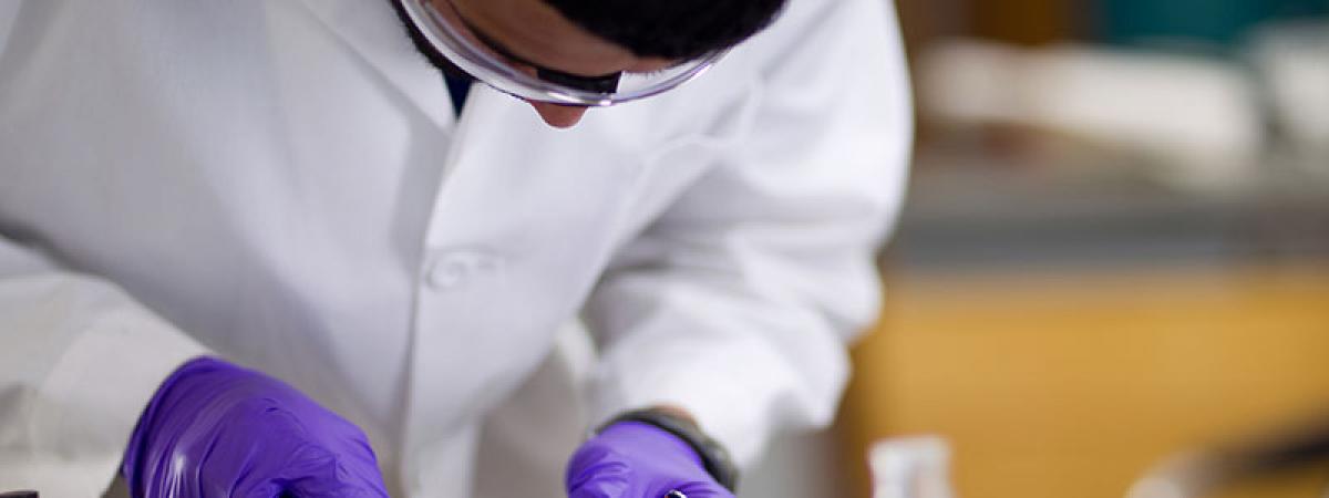 A student researcher working in the lab