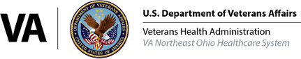 VA logo
