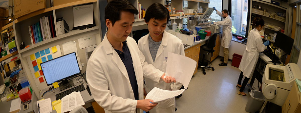 students in lab setting