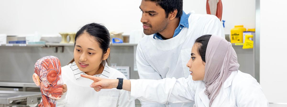 Med students in a classroom examining a 3D model