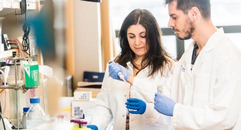 Photo of medical researchers in a lab