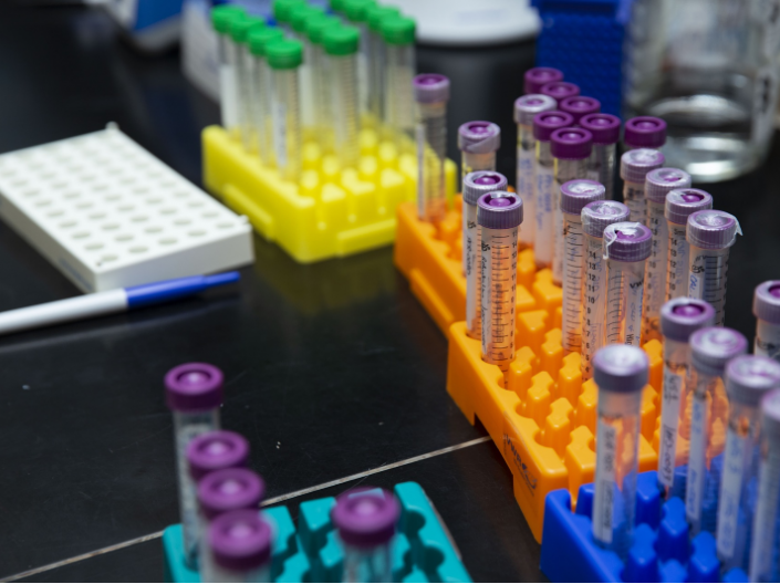 Test tubes of various colors in holders on a table