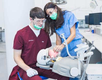 Photo of a dental faculty member demonstrating on a simulation mouth to show a dental student a technique