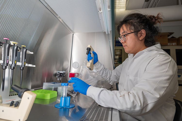 Person with glasses and blue lab gloves sitting and using lab equipment