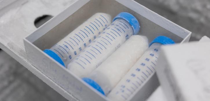 Three frozen lab samples in box