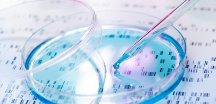 DNA sample being pipetted into petri dish with DNA gel in background